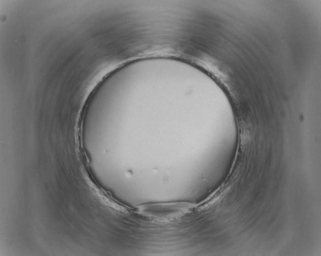 X0000076421423200610271657