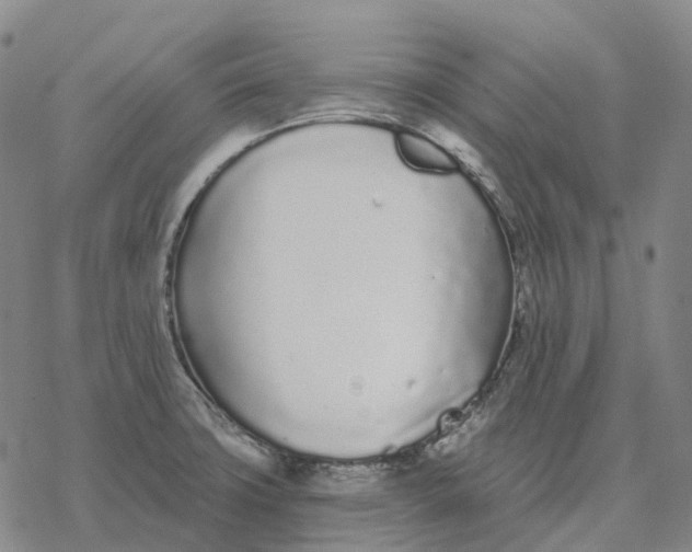 X0000076421427200610271657