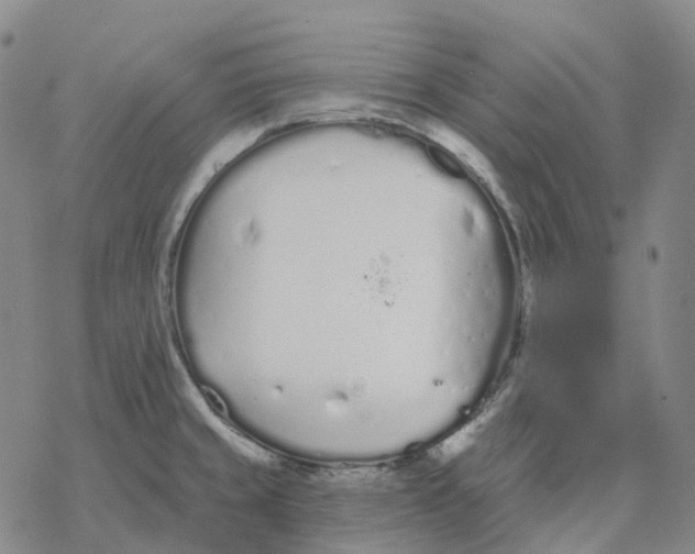 X0000076421429200610271657