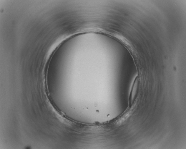 X0000076421430200610271657