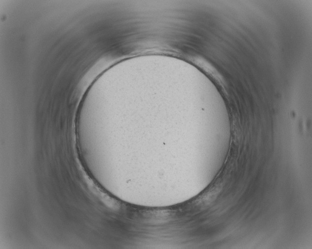 X0000076421431200610271657