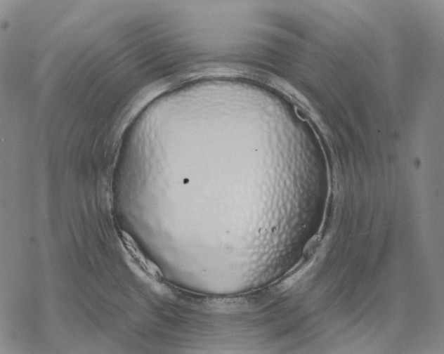 X0000076421433200610271657