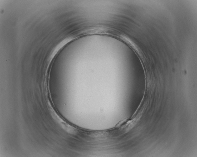 X0000076421434200610271657