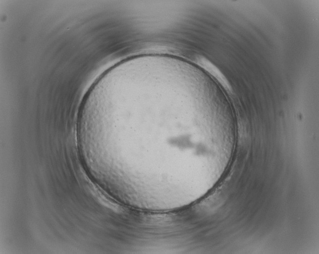 X0000076421436200610271657