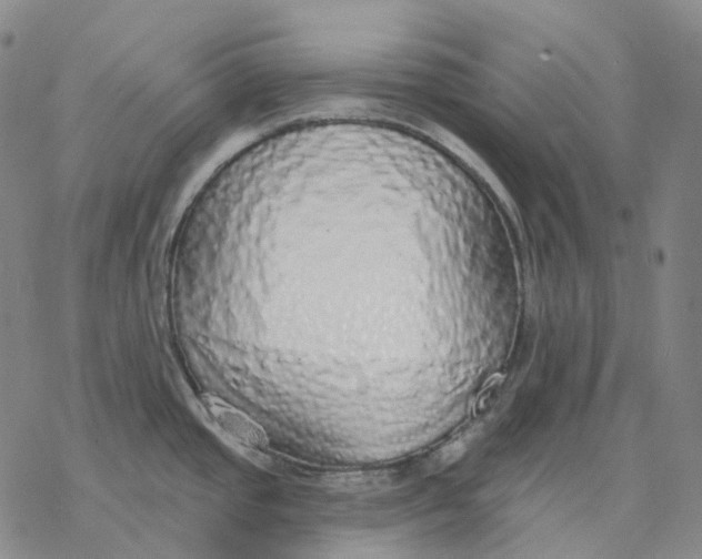 X0000076421437200610271657