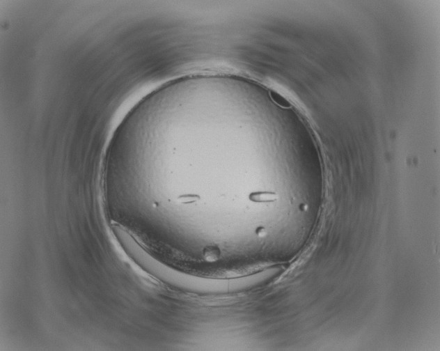 X0000076421440200610271657