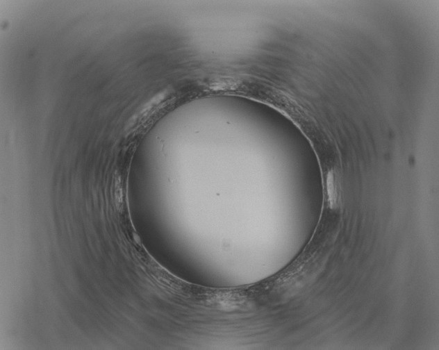 X0000076421443200610271656