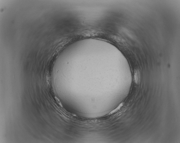 X0000076421444200610271656