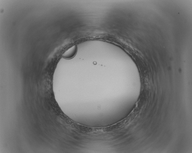 X0000076421447200610271656