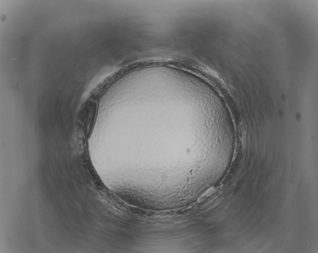 X0000076421448200610271656