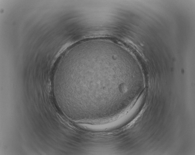 X0000076421449200610271656