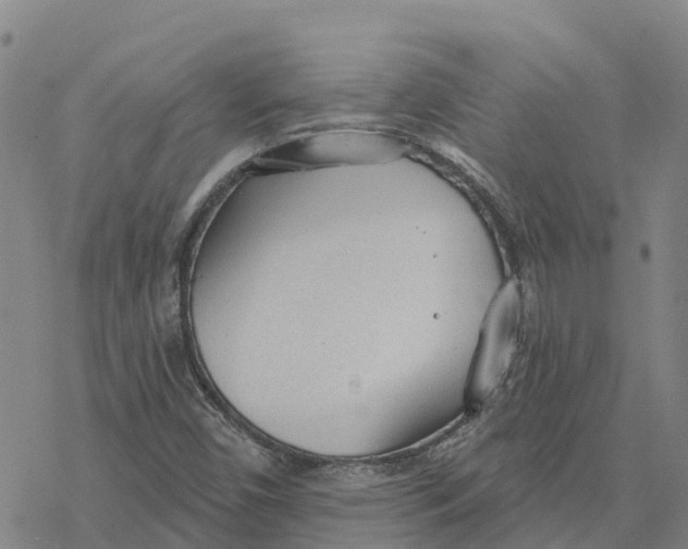 X0000076421450200610271656