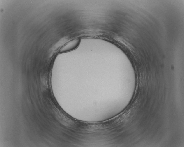 X0000076421451200610271656