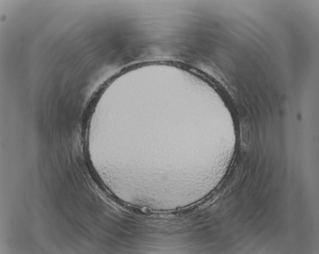 X0000076421452200610271656