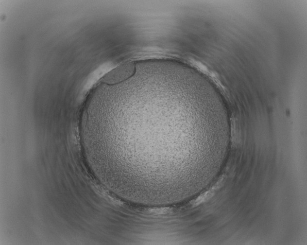 X0000076421453200610271656