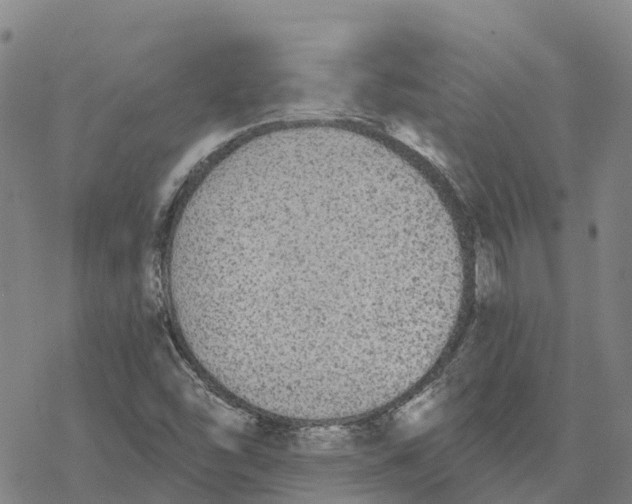 X0000076421454200610271656