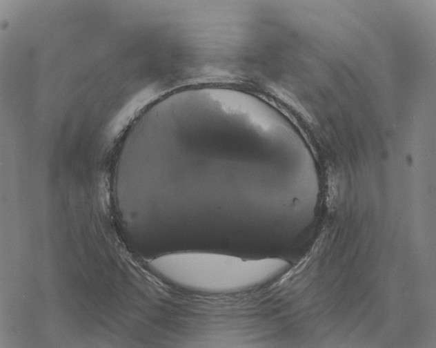 X0000076421455200610271656