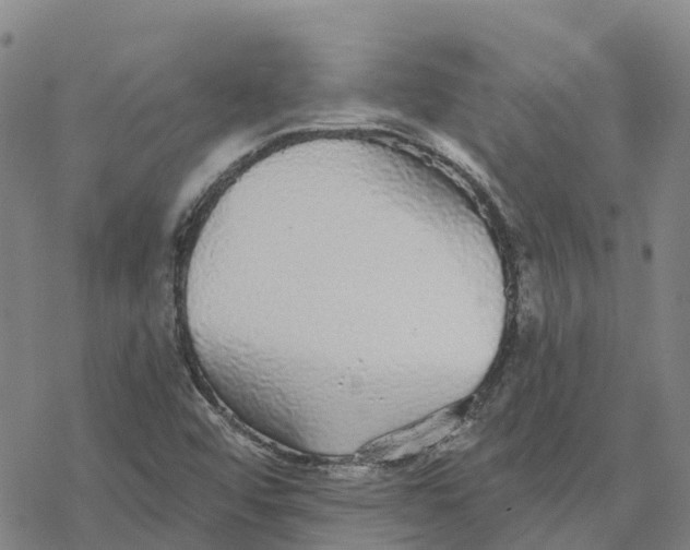 X0000076421456200610271656