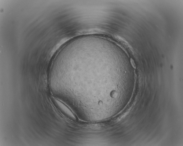 X0000076421457200610271656