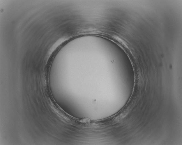 X0000076421458200610271656