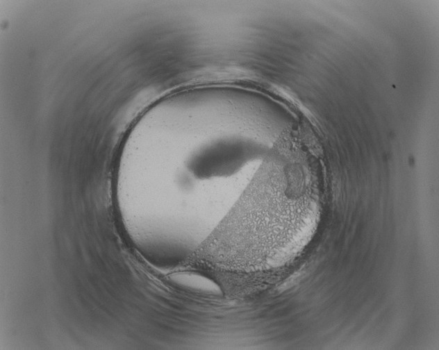 X0000076421459200610271656