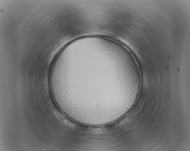 X0000076421460200610271656