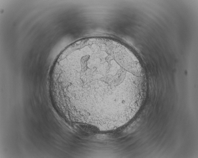 X0000076421463200610271656