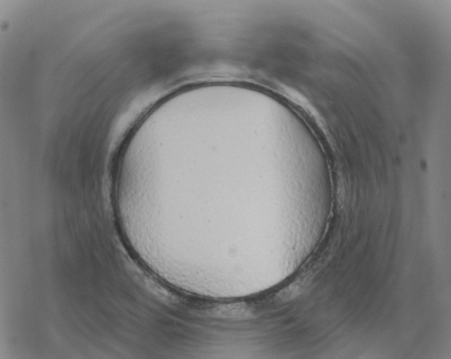 X0000076421464200610271656