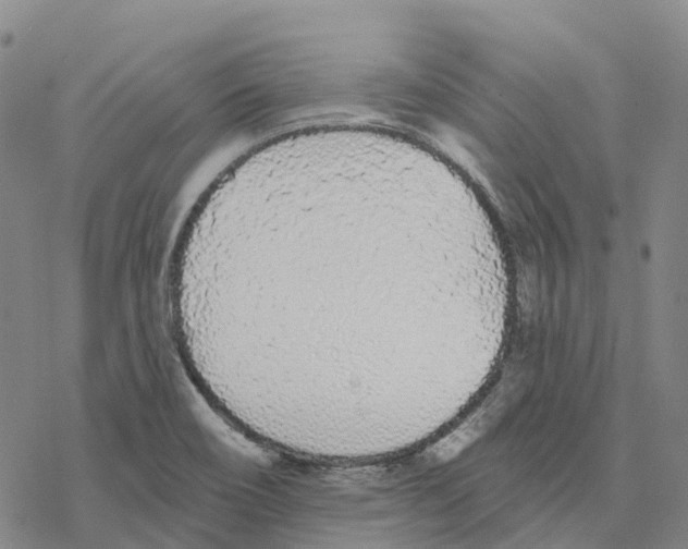 X0000076421466200610271656