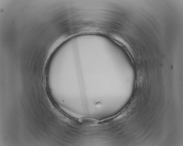 X0000076421467200610271656