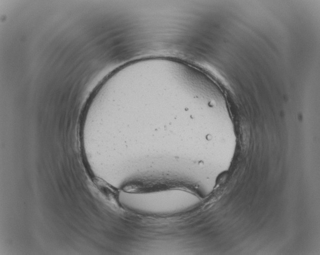 X0000076421468200610271656