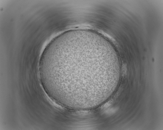 X0000076421470200610271656