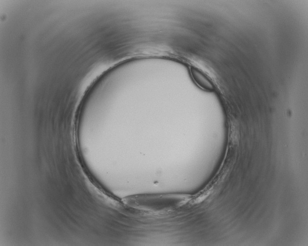 X0000076421471200610271656