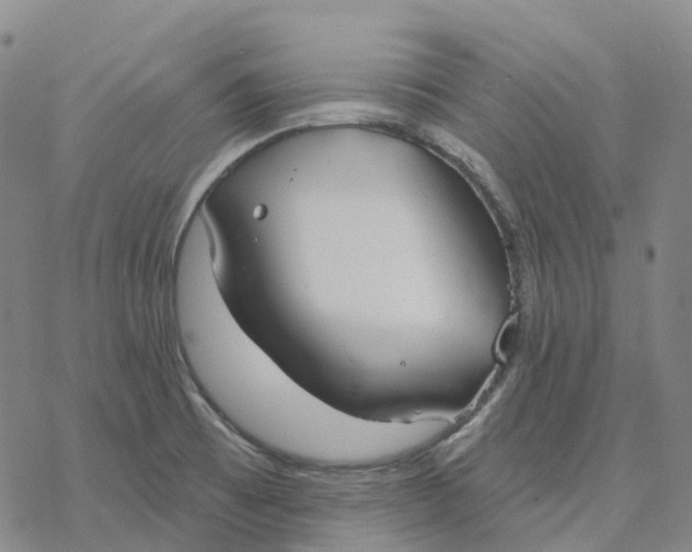 X0000076421473200610271656