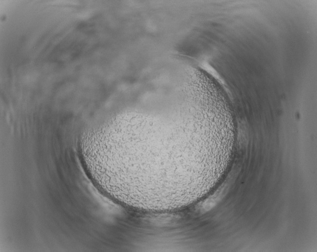 X0000076421474200610271655