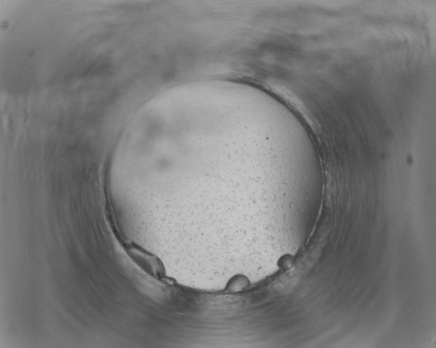 X0000076421475200610271655