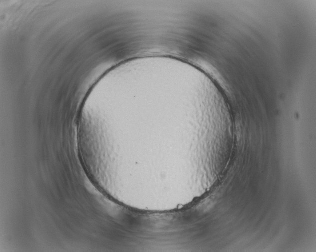 X0000076421476200610271655