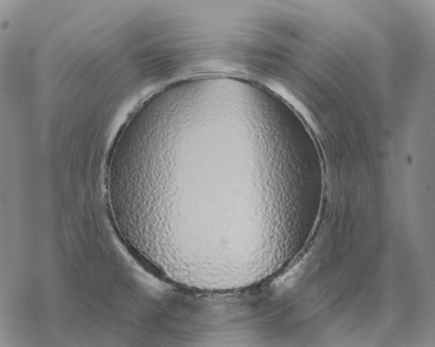 X0000076421477200610271655