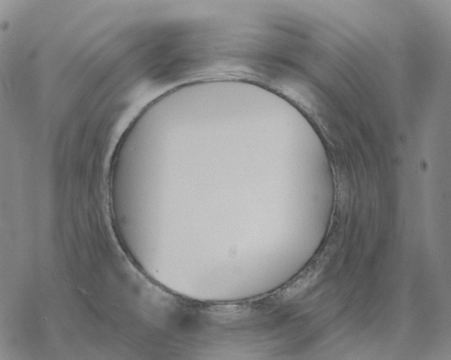 X0000076421478200610271655