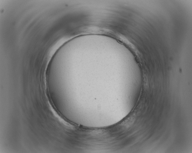 X0000076421479200610271655