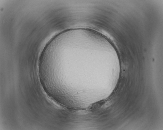 X0000076421480200610271655