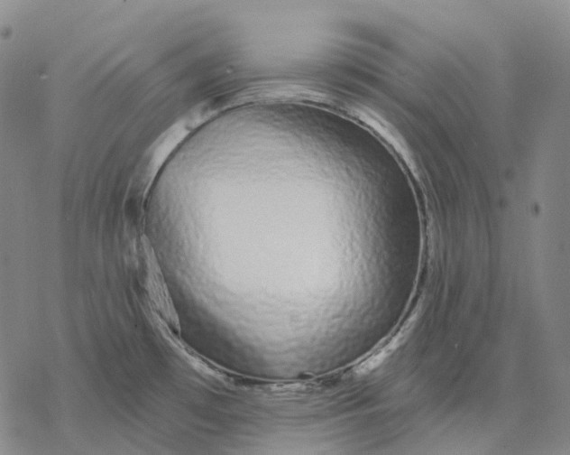 X0000076421481200610271655