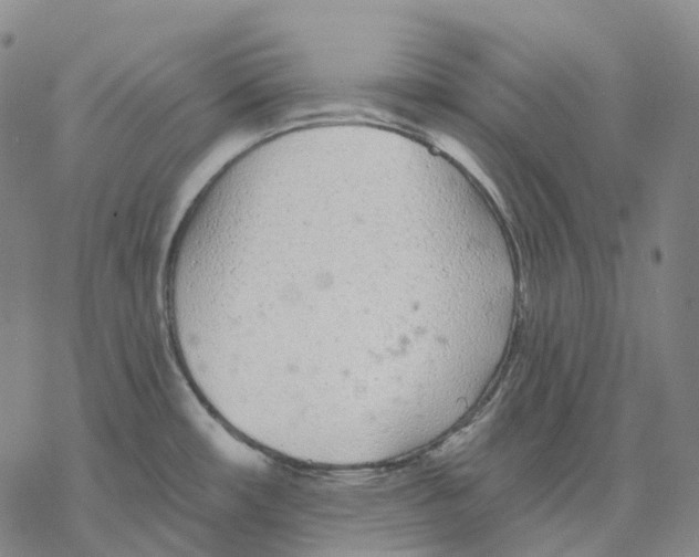 X0000076421482200610271655