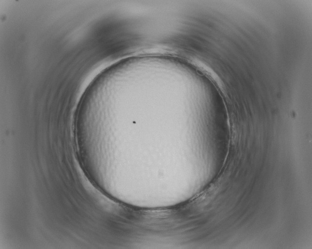 X0000076421483200610271655