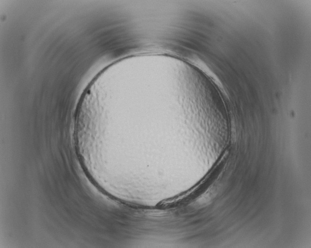 X0000076421484200610271655