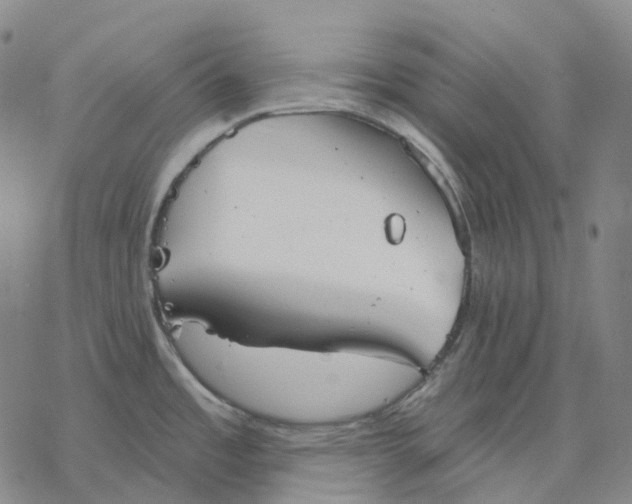 X0000076421485200610271655