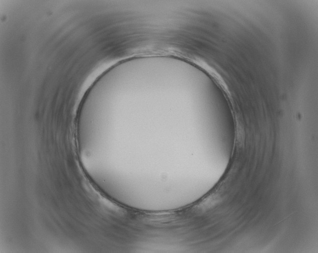 X0000076421486200610271655