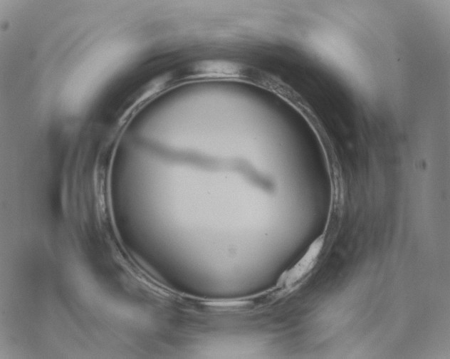 X0000076421487200610271655