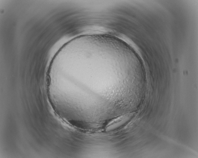 X0000076421488200610271655