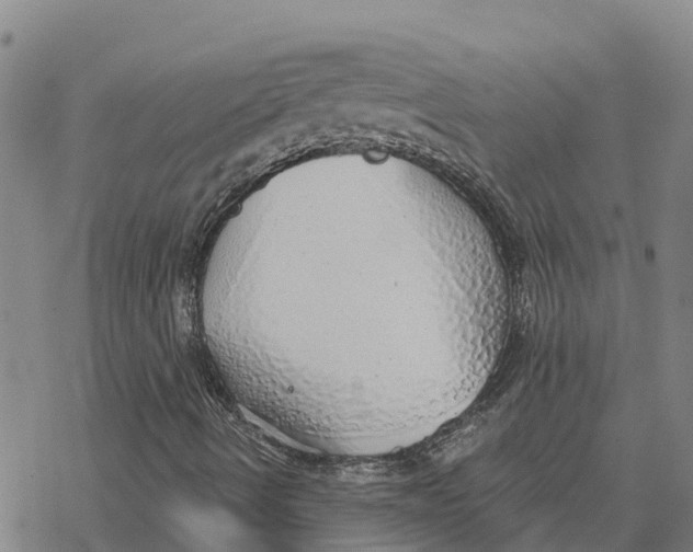 X0000076421490200610271655